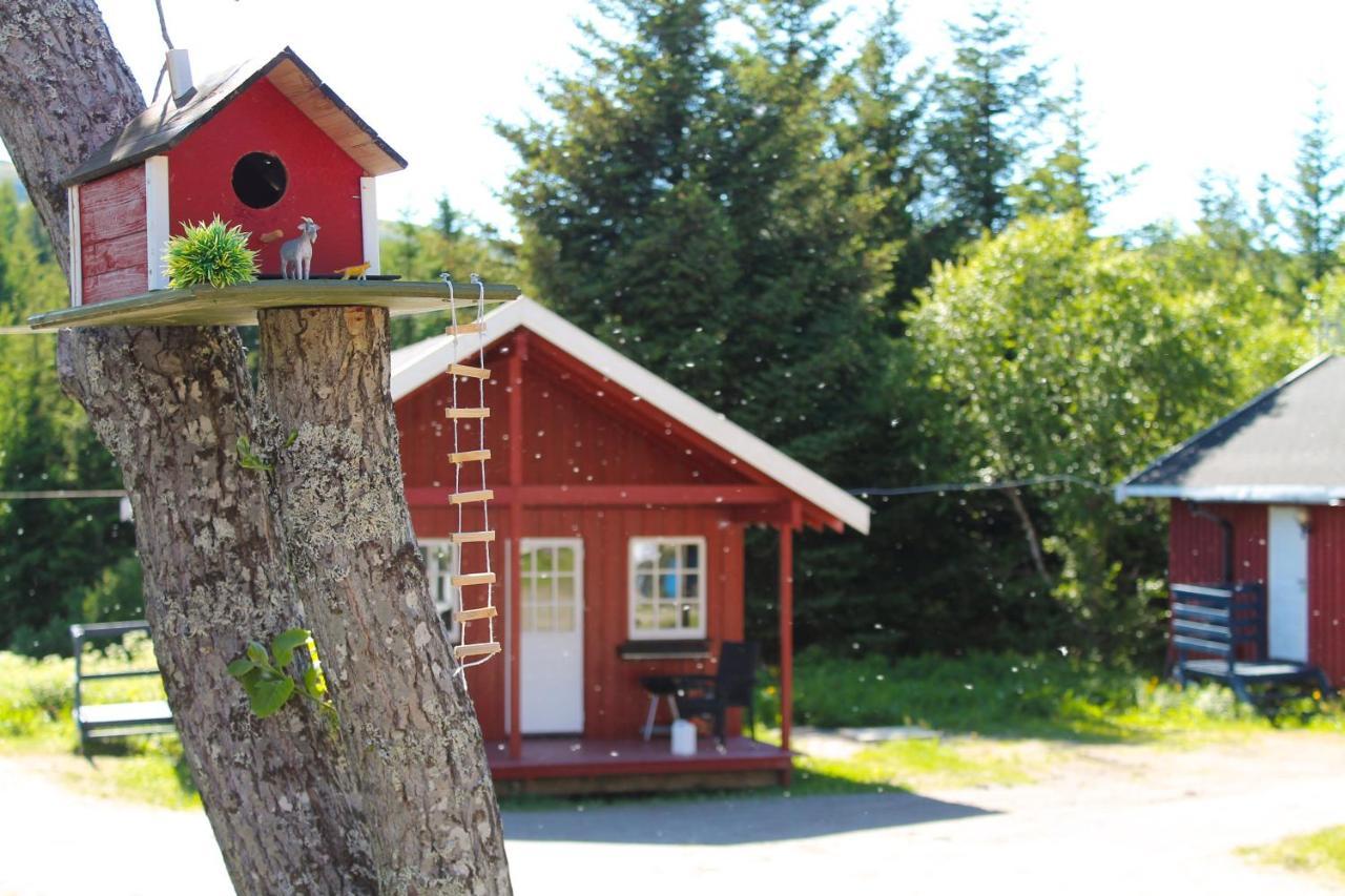 Lofoten Camp Stamsund Ngoại thất bức ảnh