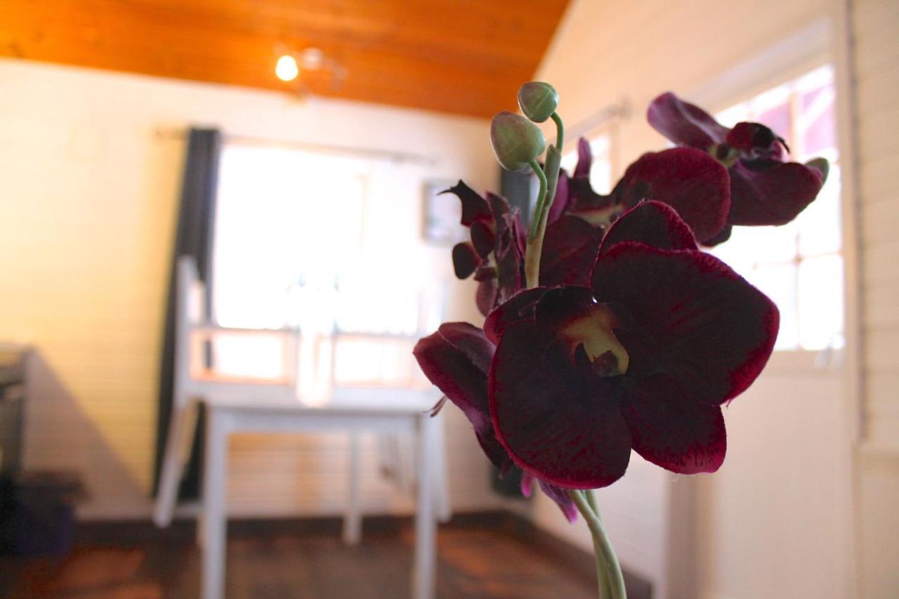 Lofoten Camp Stamsund Ngoại thất bức ảnh